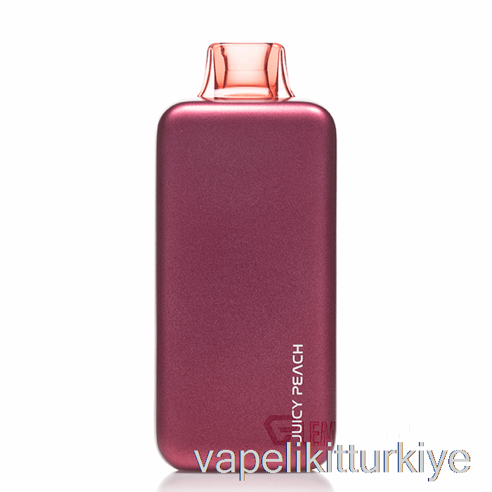 Elektronik Sigara Kalemi Vape Mate Plena 18k Tek Kullanımlık Sulu şeftali